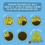 BURGESS EXCEL NUGGETS WITH MINT JUNIOR & DWARF RABBIT 1,5 KG / MAKANAN KELINCI JUNIOR - Image 2