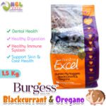 BURGESS EXCEL NUGGETS WITH BLACKCURRANT & OREGANO GP 1,5 KG / MAKANAN MARMUT / PELLET GUINEAPIG PREMIUM