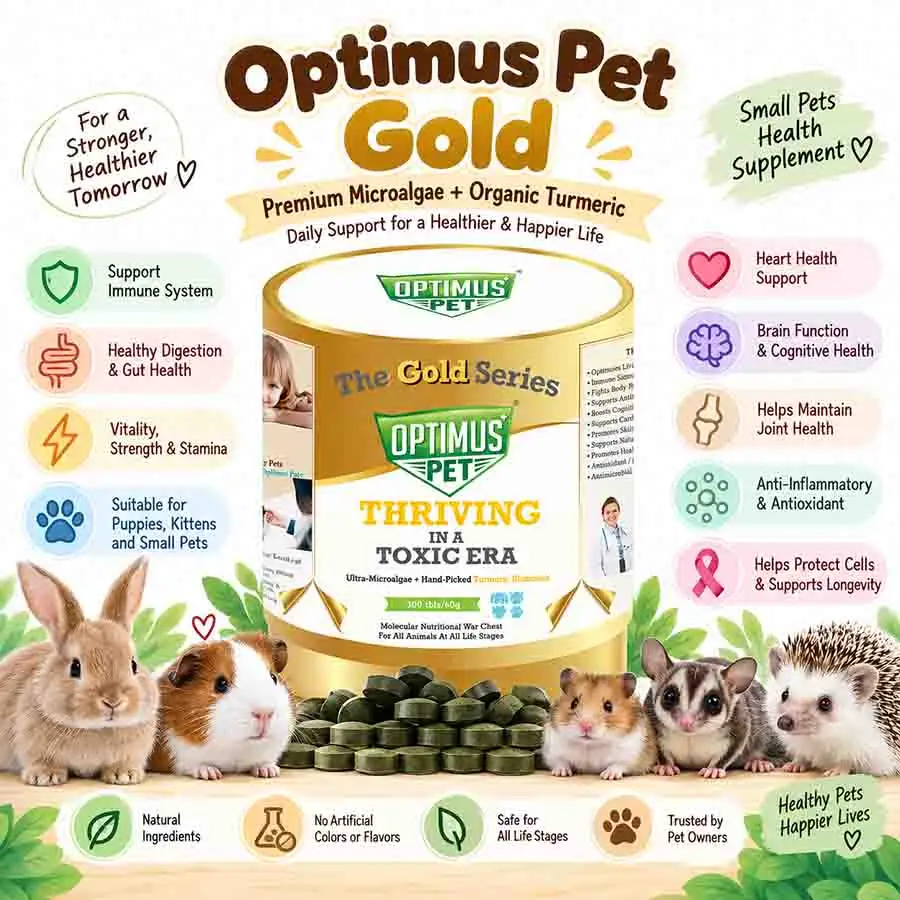 web OPTIMUS PET GOLD - Image 1