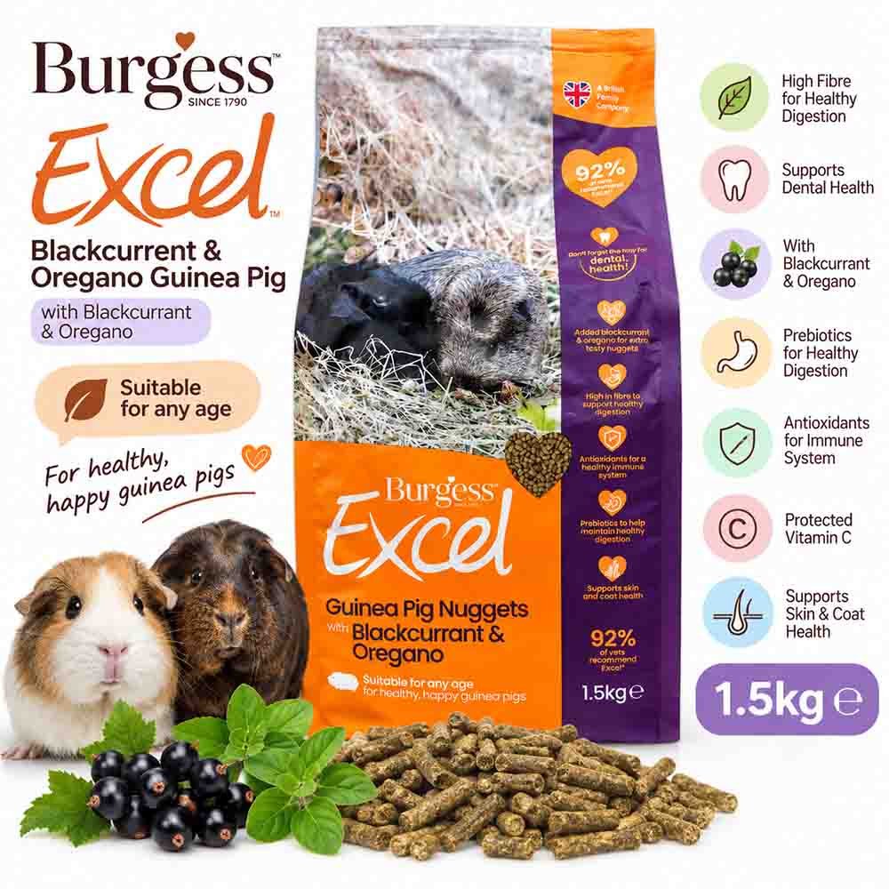 web BURGESS EXCEL NUGGETS WITH BLACKCURRANT & OREGANO GP 1,5 KG / MAKANAN MARMUT / PELLET GUINEAPIG PREMIUM - Image 1