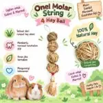 ONEL MOLAR STRING 4 HAY BALLS / GIGITAN KELINCI, MARMUT / BUNNY TOYS