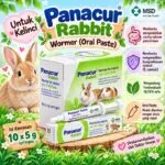PANACUR WORMER ORAL RABBIT