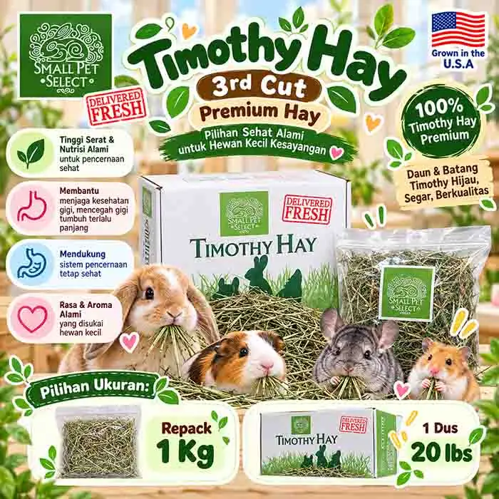web SMALL PET SELECT TIMOTHY 3rd Cut 1 KG - Image 1