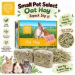 OAT HAY BY SMALL PET SELECT 1 kg/RUMPUT OAT MAKANAN KELINCI MARMUT/PAKAN KELINCI OAT HAY
