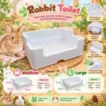 THREE RAIN RABBIT TOILET, TOILET KELINCI, CHINCHILLA