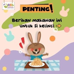 MAKANAN UTAMA KELINCI