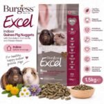 BURGESS EXCEL INDOOR GUINEA PIG 1,5 KG / PELLET GP / Makanan guinea pig