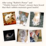 WOOLY RABBIT POWER / SUPLEMEN KELINCI PREMIUM JEPANG - Image 2