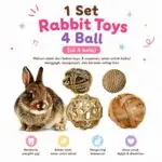 4 SET BALL FOR RABBIT, GUINEAPIG, CHINCHILLA / GIGITAN KELINCI, MARMUT, CHINCHILLA / BOLA MAIN KELINCI