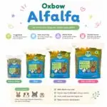 ALFALFA HAY BY OXBOW / RUMPUT HAY UNTUK ANAKAN, JUNIOR