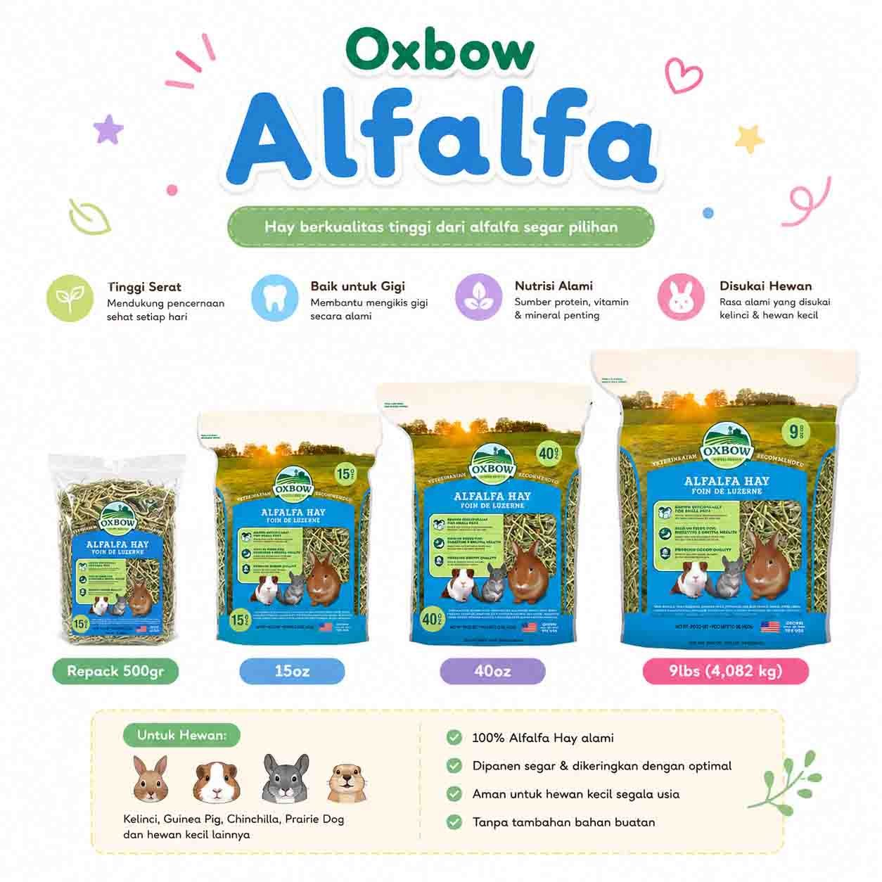 Oxbow Alfalfa ALFALFA HAY BY OXBOW / RUMPUT HAY UNTUK ANAKAN, JUNIOR - Image 1