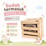 ONEL WOOD COTTON STAGE HOUSE / Rumah Kelinci, Marmut / Tunnel Kelinci / Small Animals House - Image 2