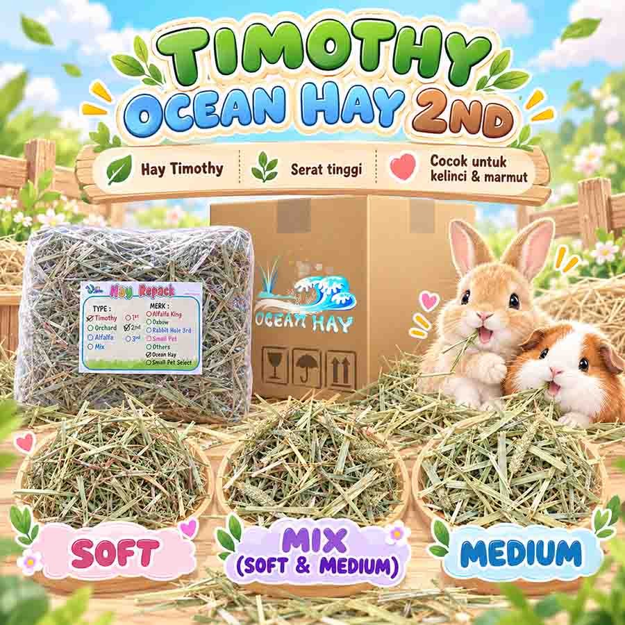 web TIMOTHY OCEAN HAY 2ND R 1KG/ RUMPUT HAY KELINCI, MARMUT - Image 1