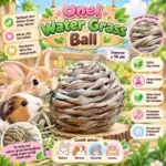 WATER GRASS HAY BALL, Gigitan kelinci cavy / Mainan gigit kelinci