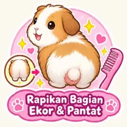 2gpgroomdry