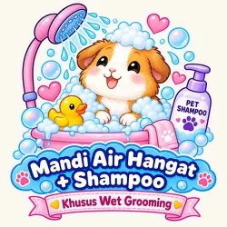 6gpgroomwet